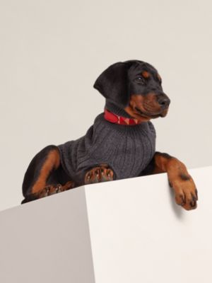 犬用コート XS＆S | Hermès - エルメス-公式サイト